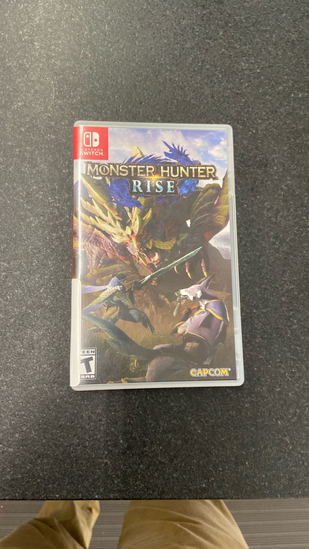 Monster Hunter Rise