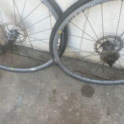 Bicycle Rims And Tires 