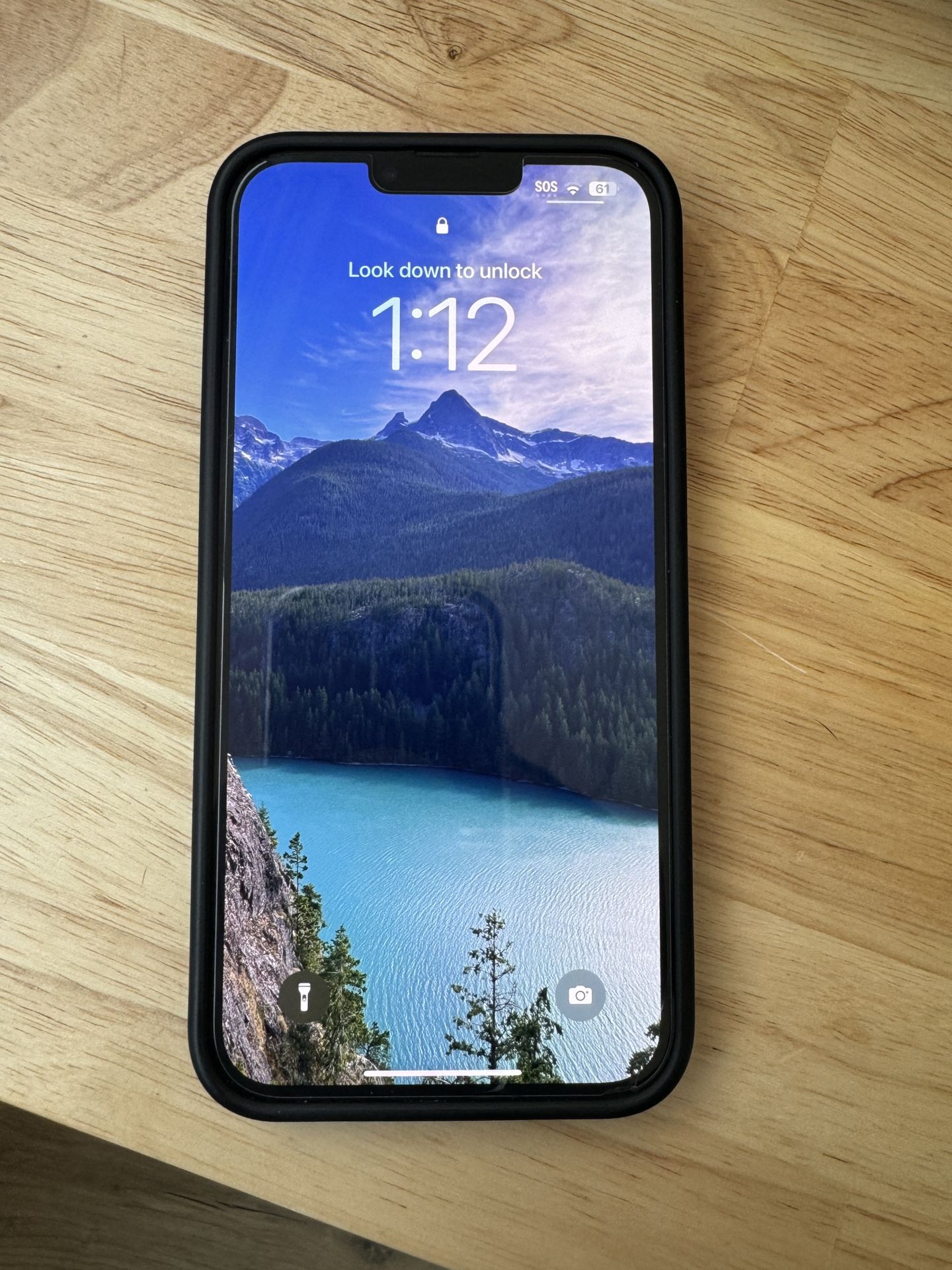 Perfect Condition iPhone 13 Pro Max 256G, Black (Unlocked)