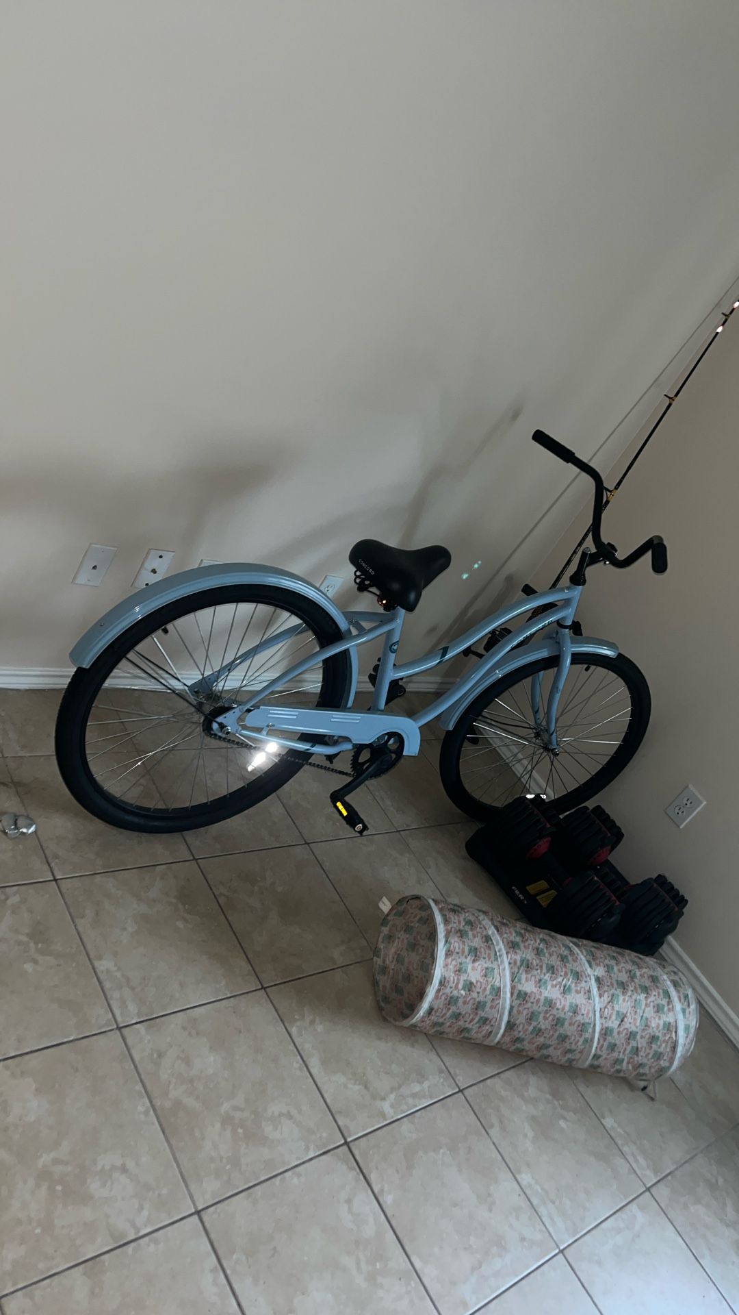 Adult Bike