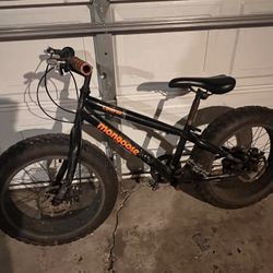 Mongoose Bike 