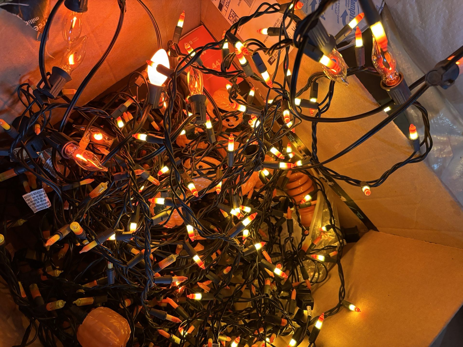 Free Christmas and Halloween Lights
