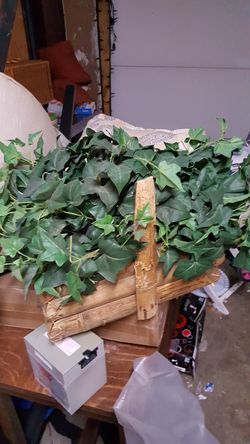 Faux ivy plant