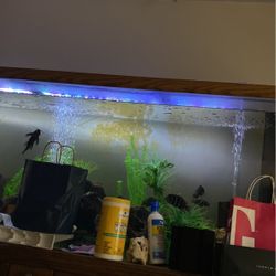 265 Gallon