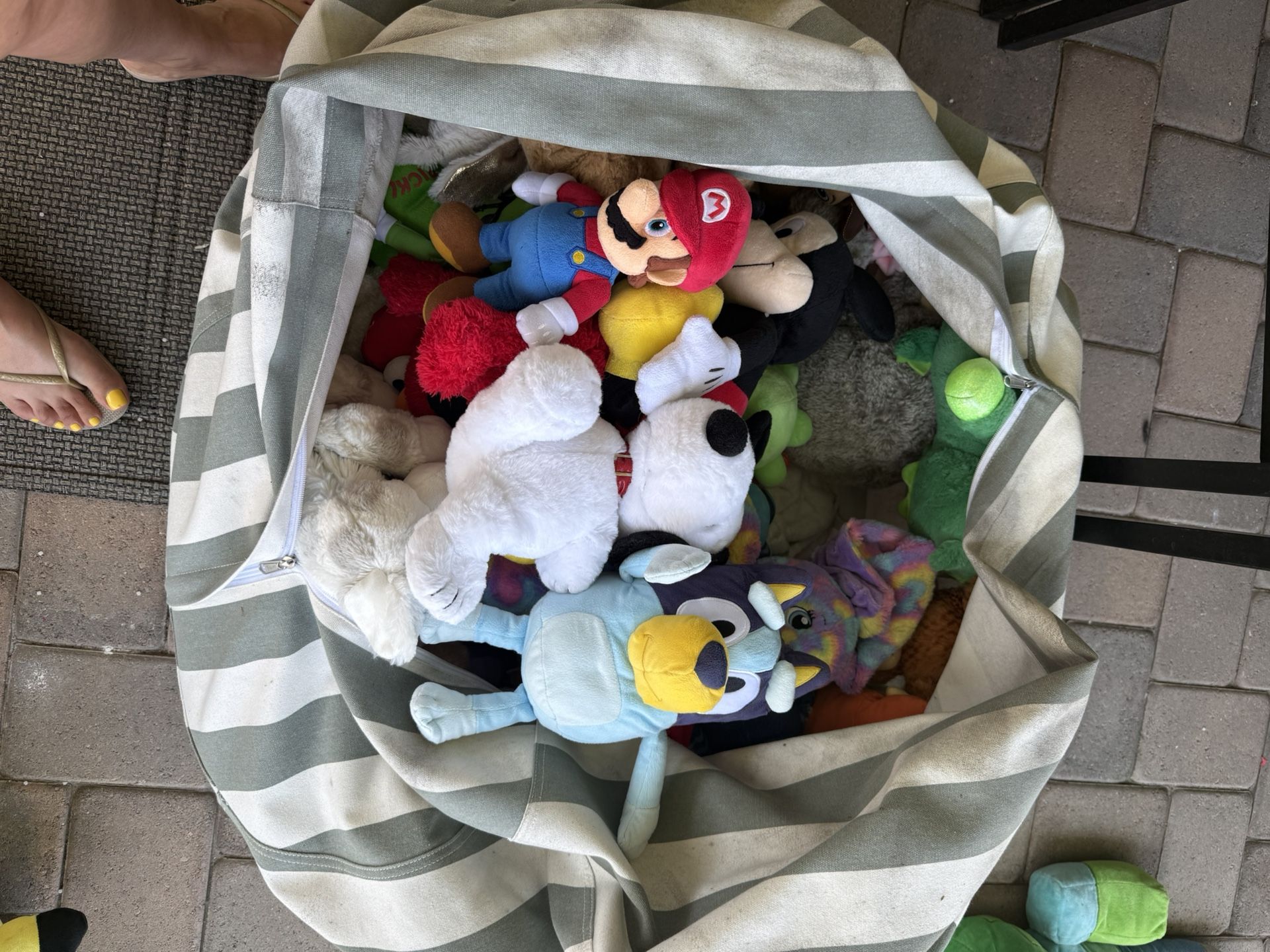 Stuffed Animals