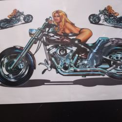 Awesome Car Decals