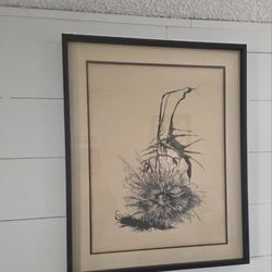 Original Vintage Art Working Proof Artist Signed 1976 Thistle Framed Nature

A very unique piece

Artists working proof

An upside down uprooted thist