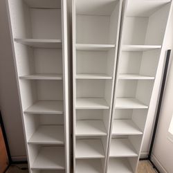 Bookshelves ($30 EACH)
