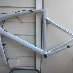 Carbon  Fiber Specialized 