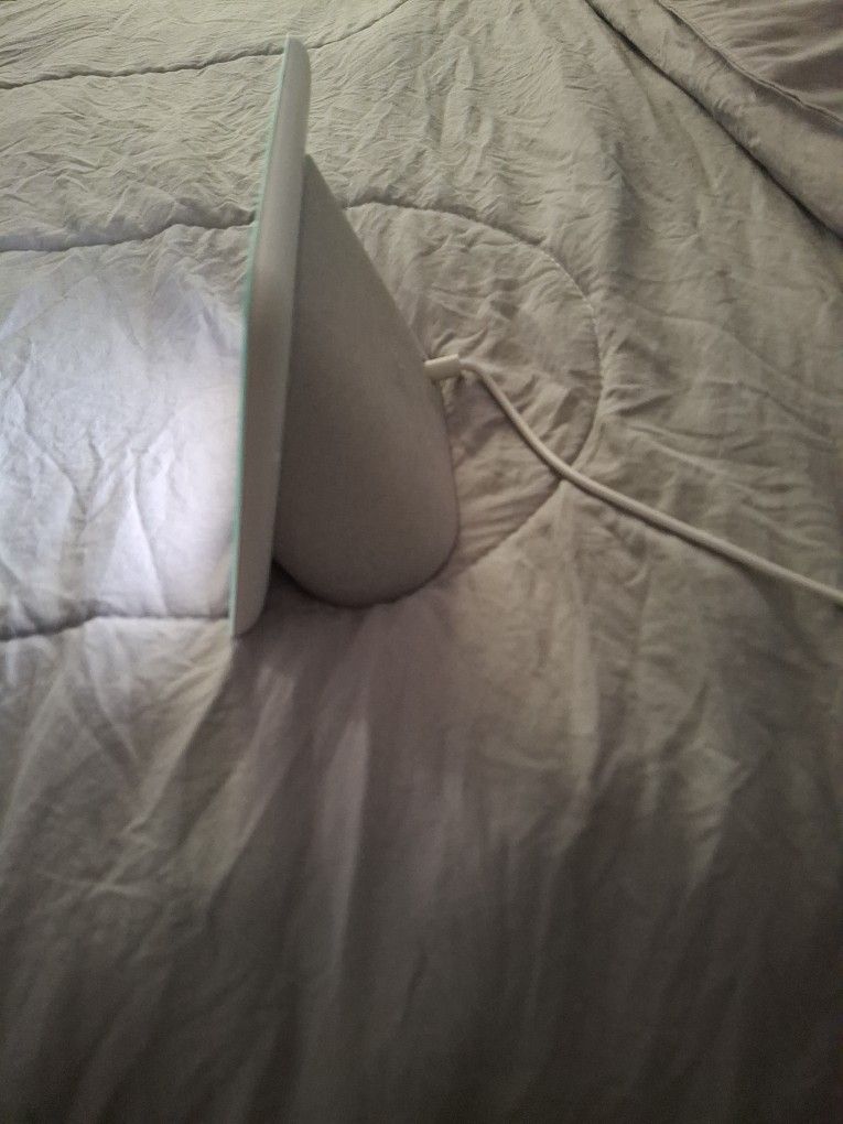 Google Nest