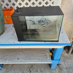 3 Gallon Aquarium 