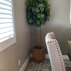 7 Foot Tree