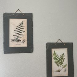 A Fern Pictures 