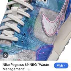 Pegasus 89 G “Phoenix Open” Take Out  The Trash Shoe