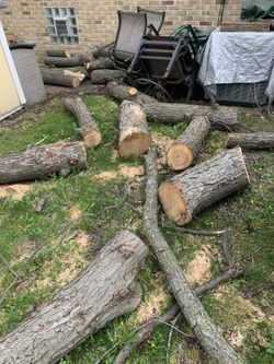 Free wood