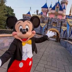 Disneyland or Disney California adventure