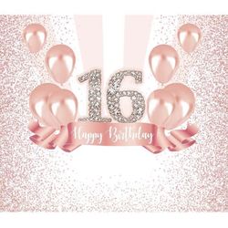 Sweet 16 Sign & Honk It’s my Birthday Sign
