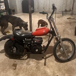 Mini Bike