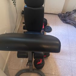 Preofesional Bench With Weights