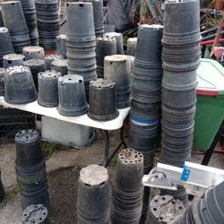 1 Gallon Nursery Pots