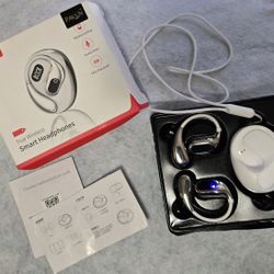 Translator Bluetooth Wireless Earbuds