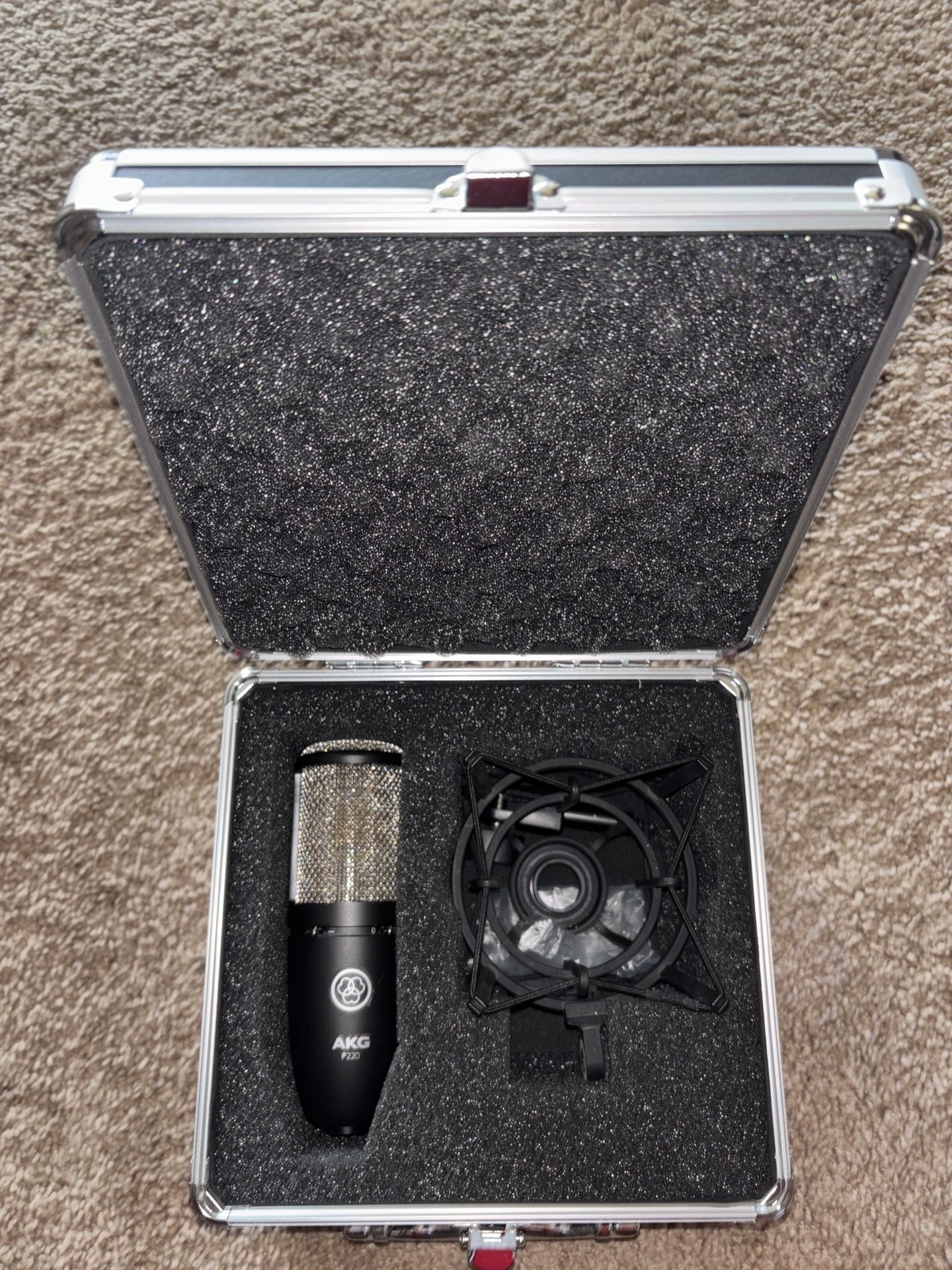 AKG P220 High-Performance Condenser Microphone With Case, Mic Stand, & Tonor Sound Diffuser