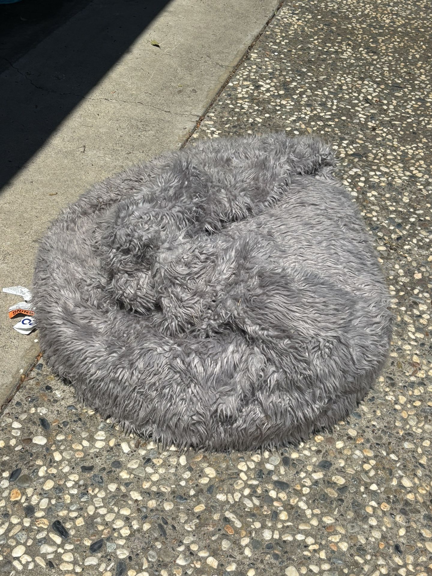 Furry Beanbag Chair