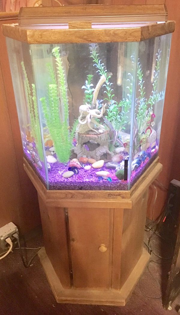 Complete 40 Gallon Octagon Fish Tank And Stand For In Complete 40 Gallon Octagon Fish Tank