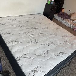 Bamboo King Mattress And Box springs
