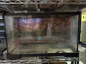 10 Gallon Tank