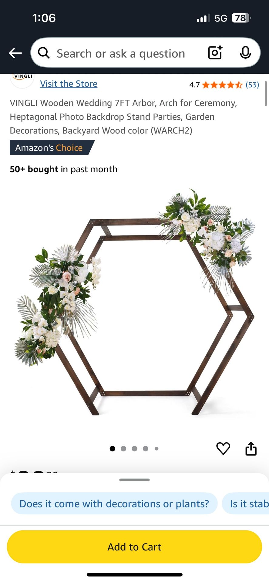 Never Opened Wedding Arch
