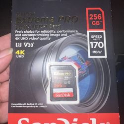 Sandisk