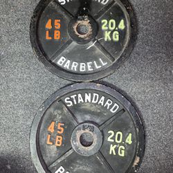45lb Standard Barbell Weights 