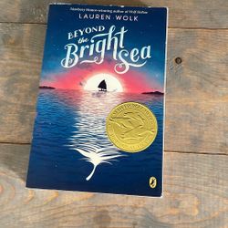 Beyond The Bright Sea