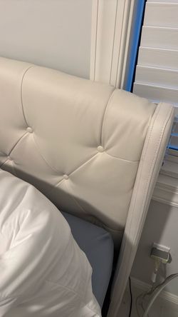 Two king size fully electric beds