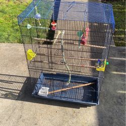 Bird Cage 