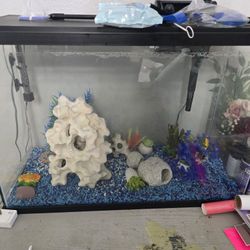 Fish Tank 