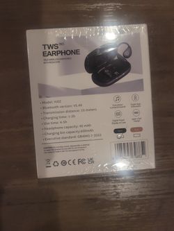 AI Translator Earbuds 