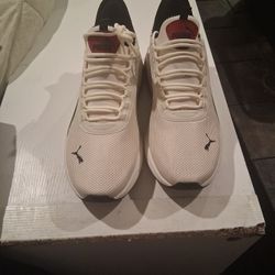 Pumas   Size 11 Brand New