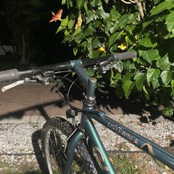 Bike Iguana 