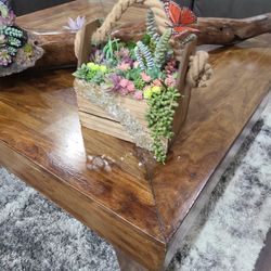 Mothers Day  Succulents Basket 