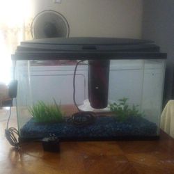 Fish Tank (  Firm Price)