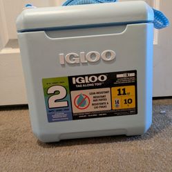 Igloo Cooler 