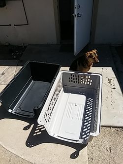 Extra large top pet taxi