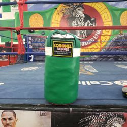 Punching Bag 