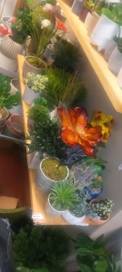 New artificial silk plants 2/10 Dollar each looks real high quality