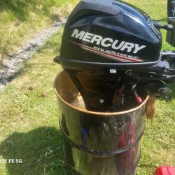 15 Horse mercury 4 Stroke