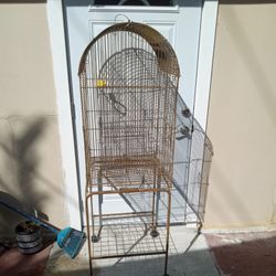Big Bird Cage