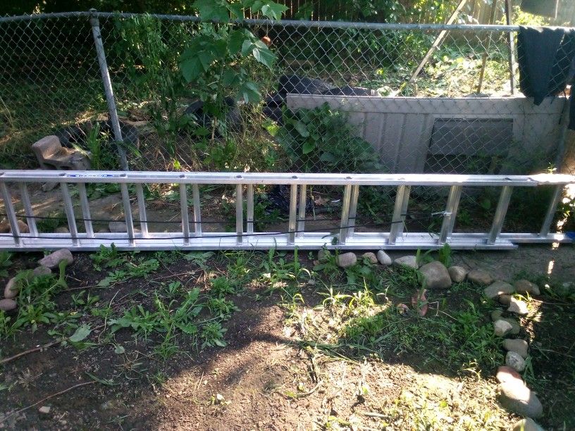 Ladder