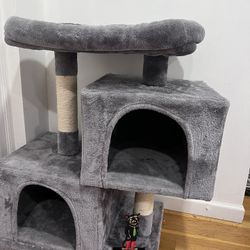 Cat House 